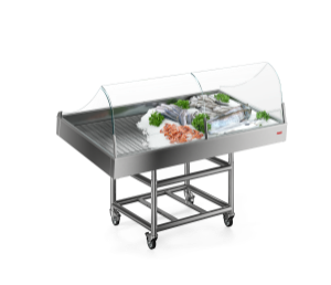 GTON Fish Display Chiller